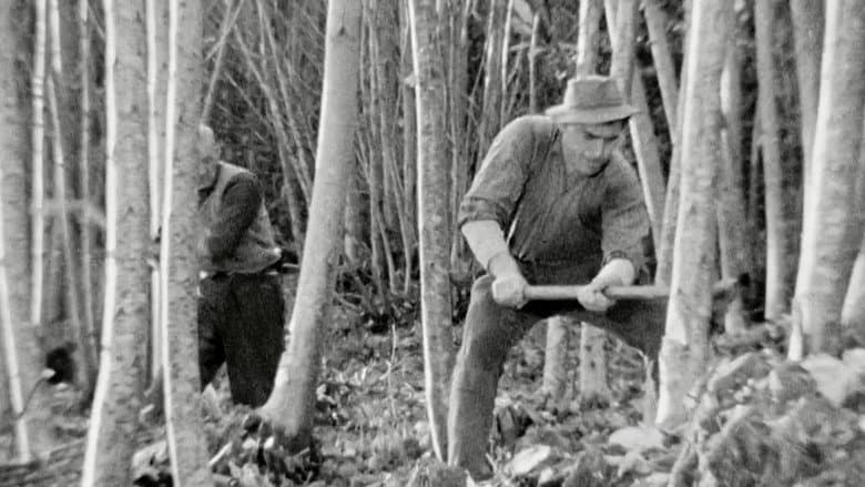 The Felling of the Forest
