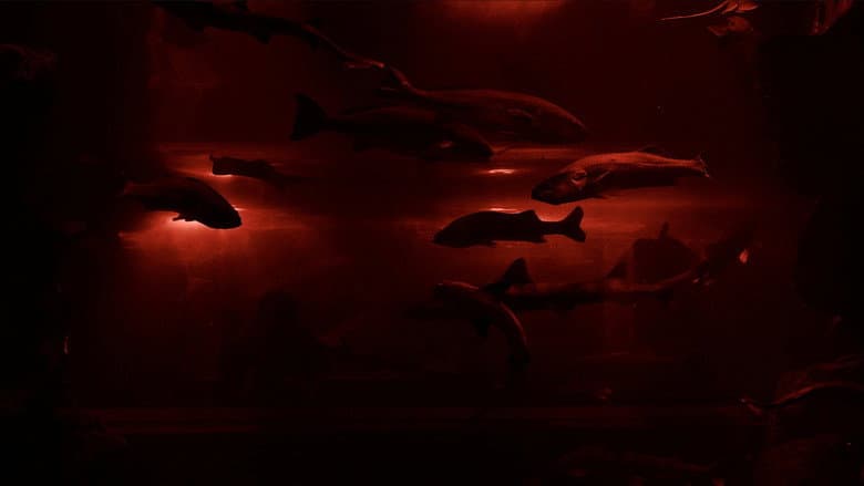 Red Wave​