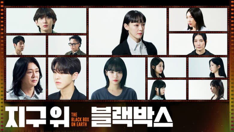The Black Box on Earth
