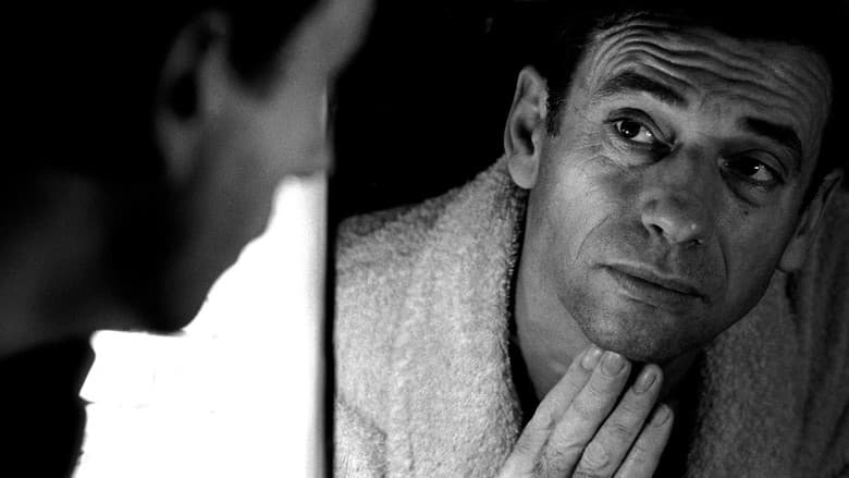 All About Yves Montand