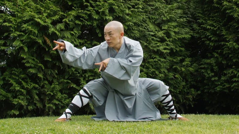 Kung Fu Quest