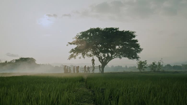 The Hole, 309 Days to the Bloodiest Tragedy