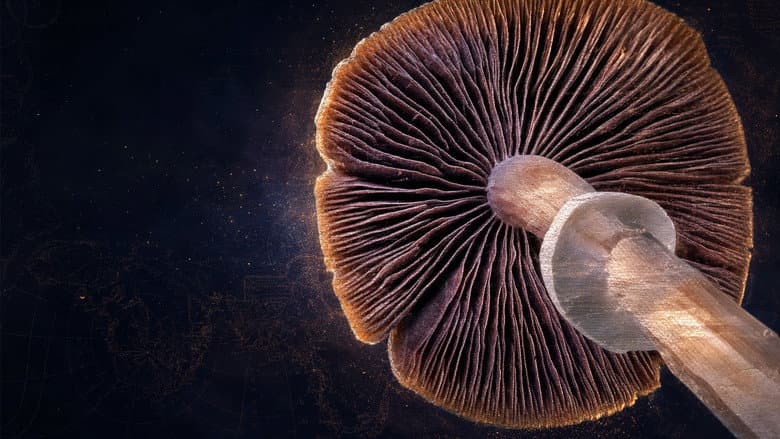 Cosmic Heirloom: Buried 400 Years