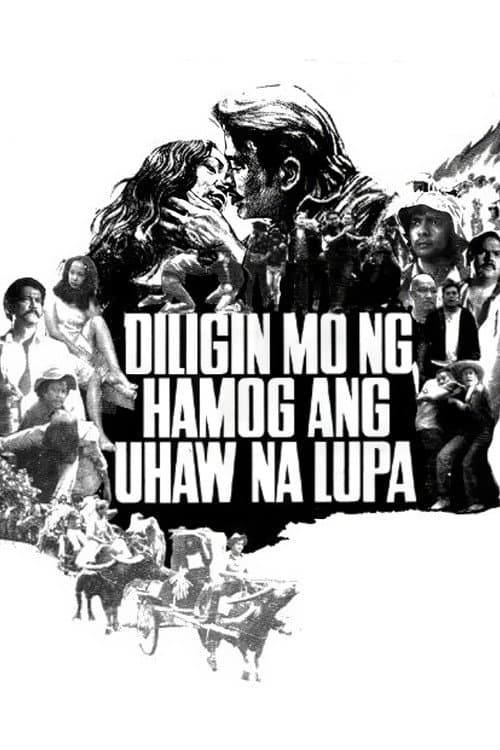 Diligin mo ng Hamog ang Uhaw na Lupa