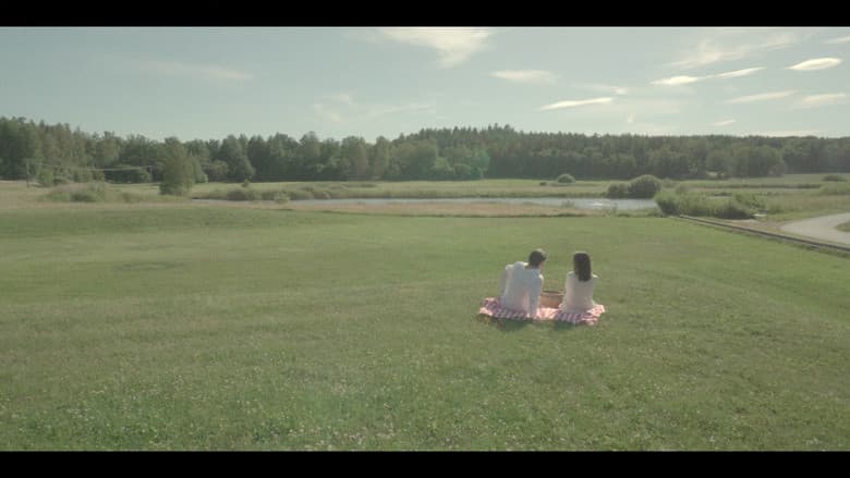 A Summer Story